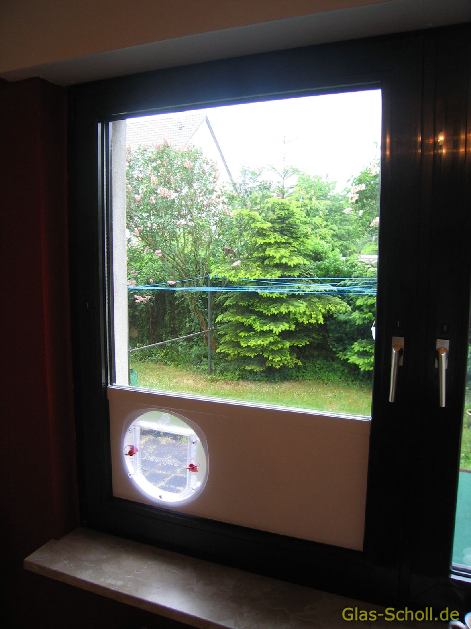 nachträglicher Katzenklappen Einbau in Isolierglas, Fenster, Türen, Balkonanlagen, Tierklappen, Hundeklappen von Glas Scholl