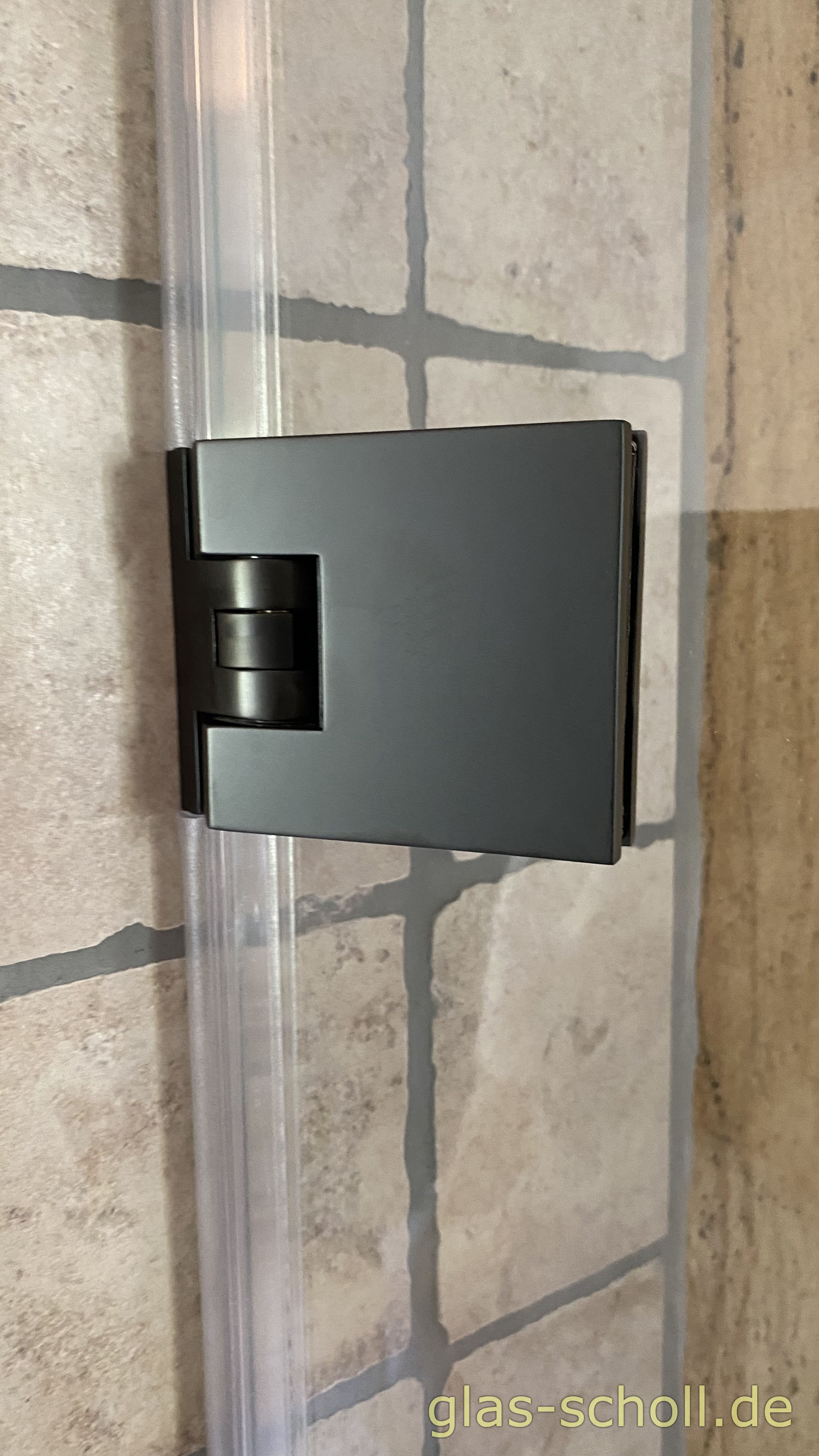 1 flgl. Glasdusche mit schwarzen Flamea+ Beschlägen und Drachenmotiv von Glas Scholl - Flamea Plus - Pauli Glasdusche - Herr der Ring