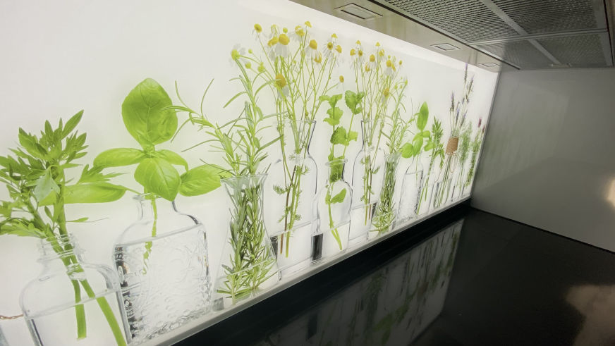 beleuchtete LED Küchenrückwand aus Glas mit Digitaldruck - Spritzschutz - Fliesenspiegel aus Glas von Glas Scholl