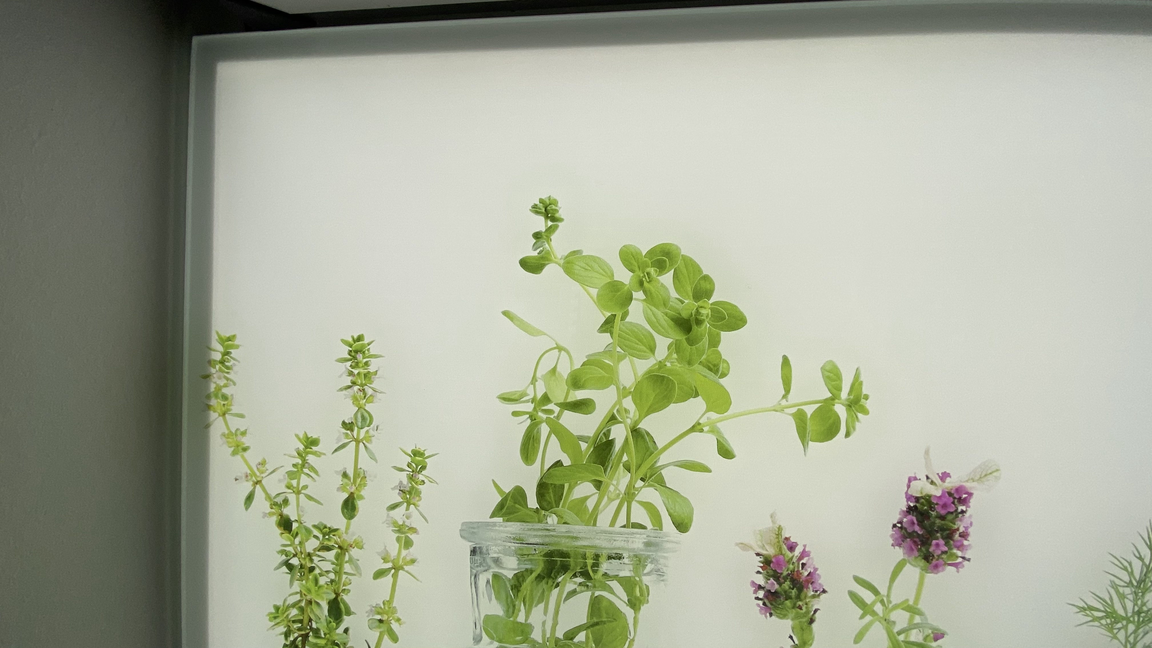 beleuchtete LED Küchenrückwand aus Glas mit Digitaldruck - Spritzschutz - Fliesenspiegel aus Glas von Glas Scholl