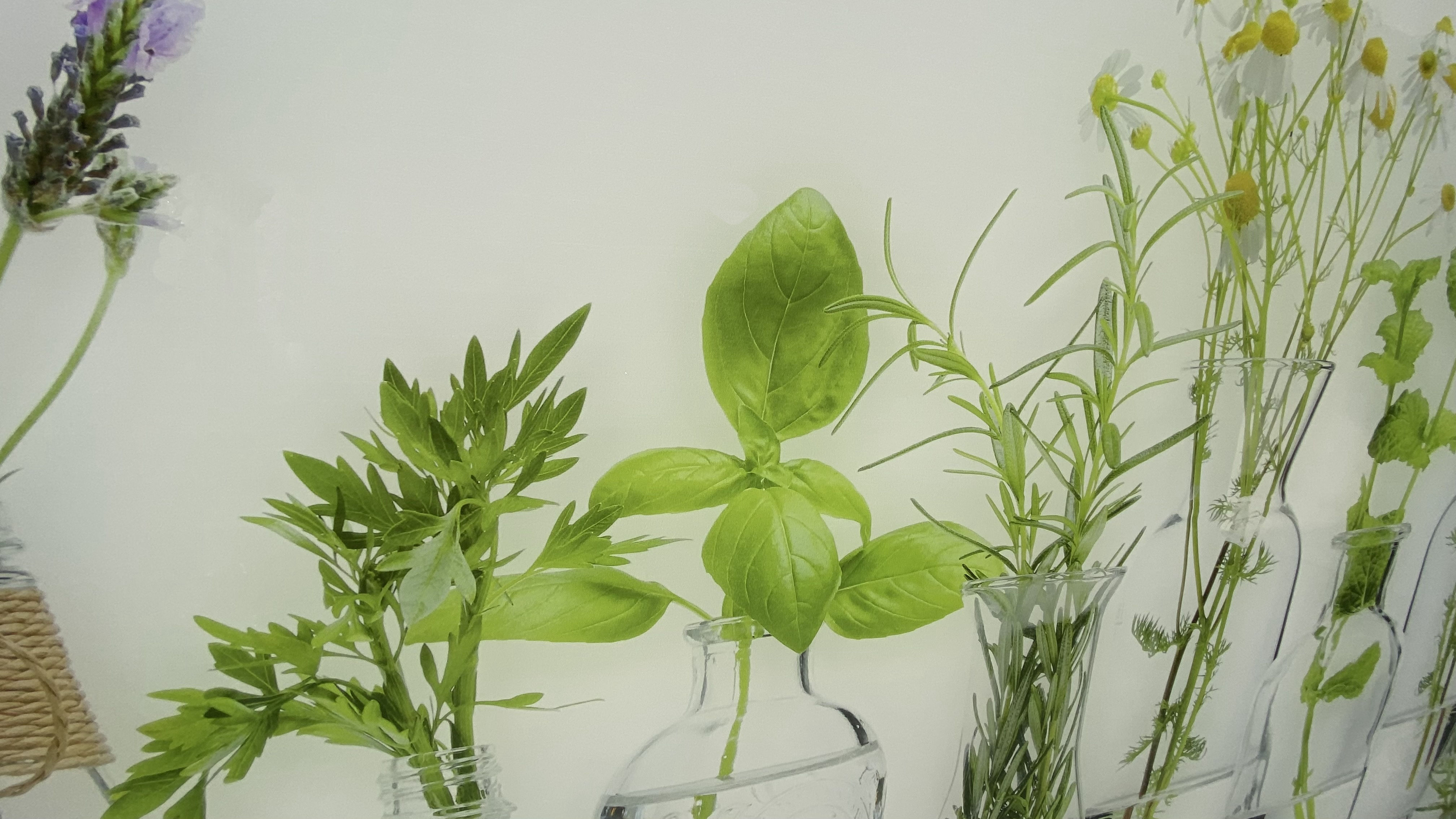 beleuchtete LED Küchenrückwand aus Glas mit Digitaldruck - Spritzschutz - Fliesenspiegel aus Glas von Glas Scholl