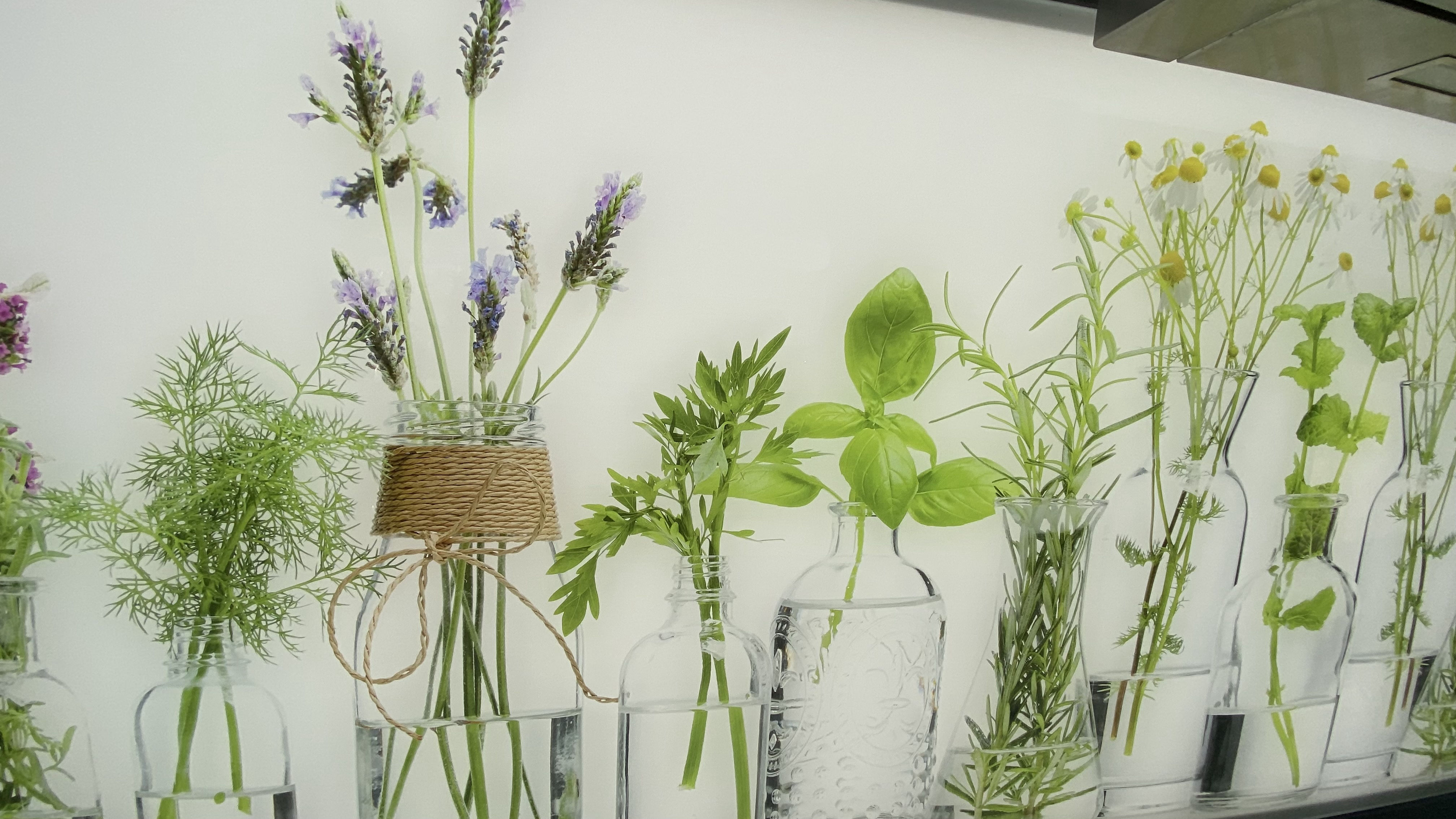 beleuchtete LED Küchenrückwand aus Glas mit Digitaldruck - Spritzschutz - Fliesenspiegel aus Glas von Glas Scholl