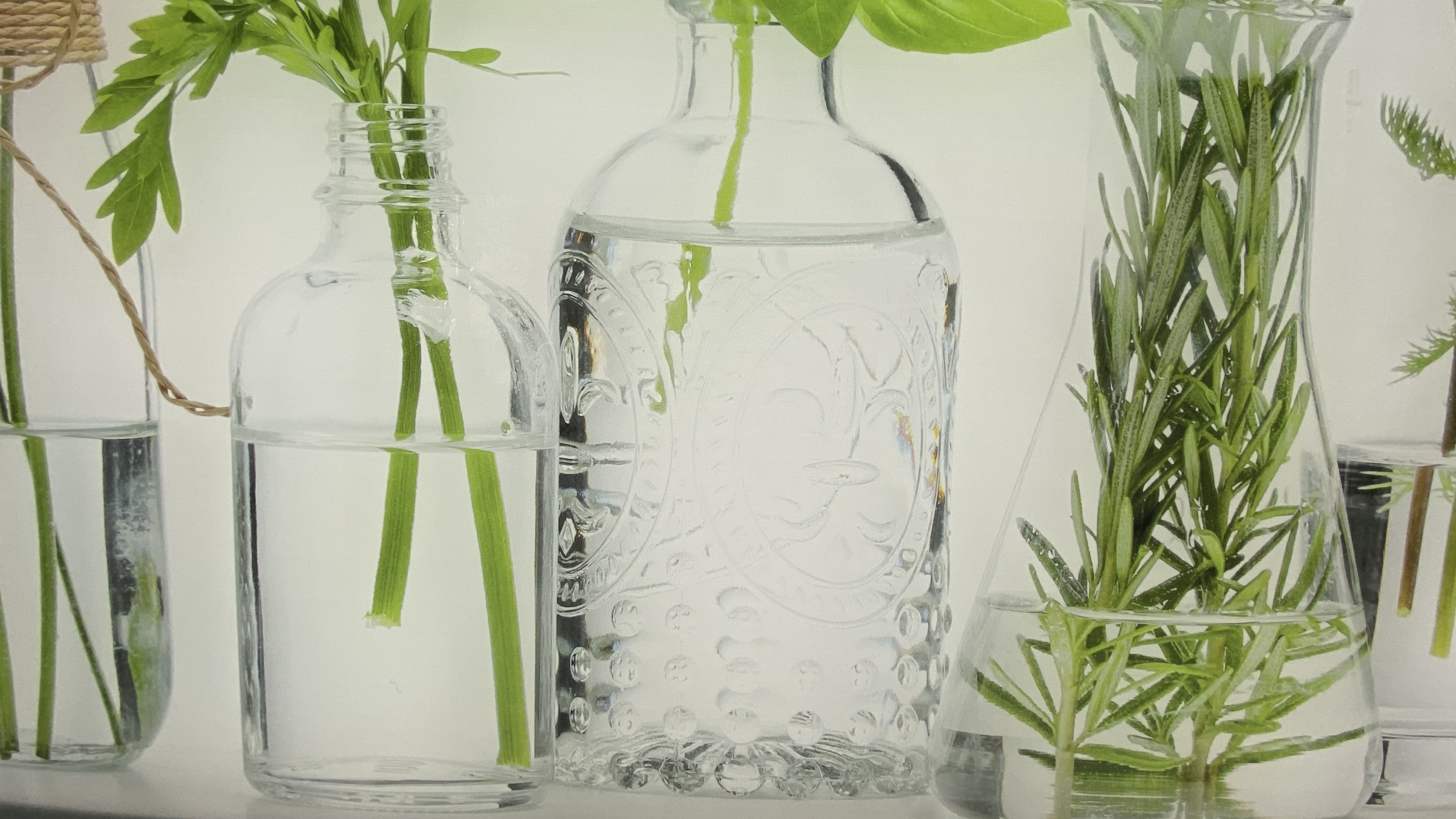 beleuchtete LED Küchenrückwand aus Glas mit Digitaldruck - Spritzschutz - Fliesenspiegel aus Glas von Glas Scholl