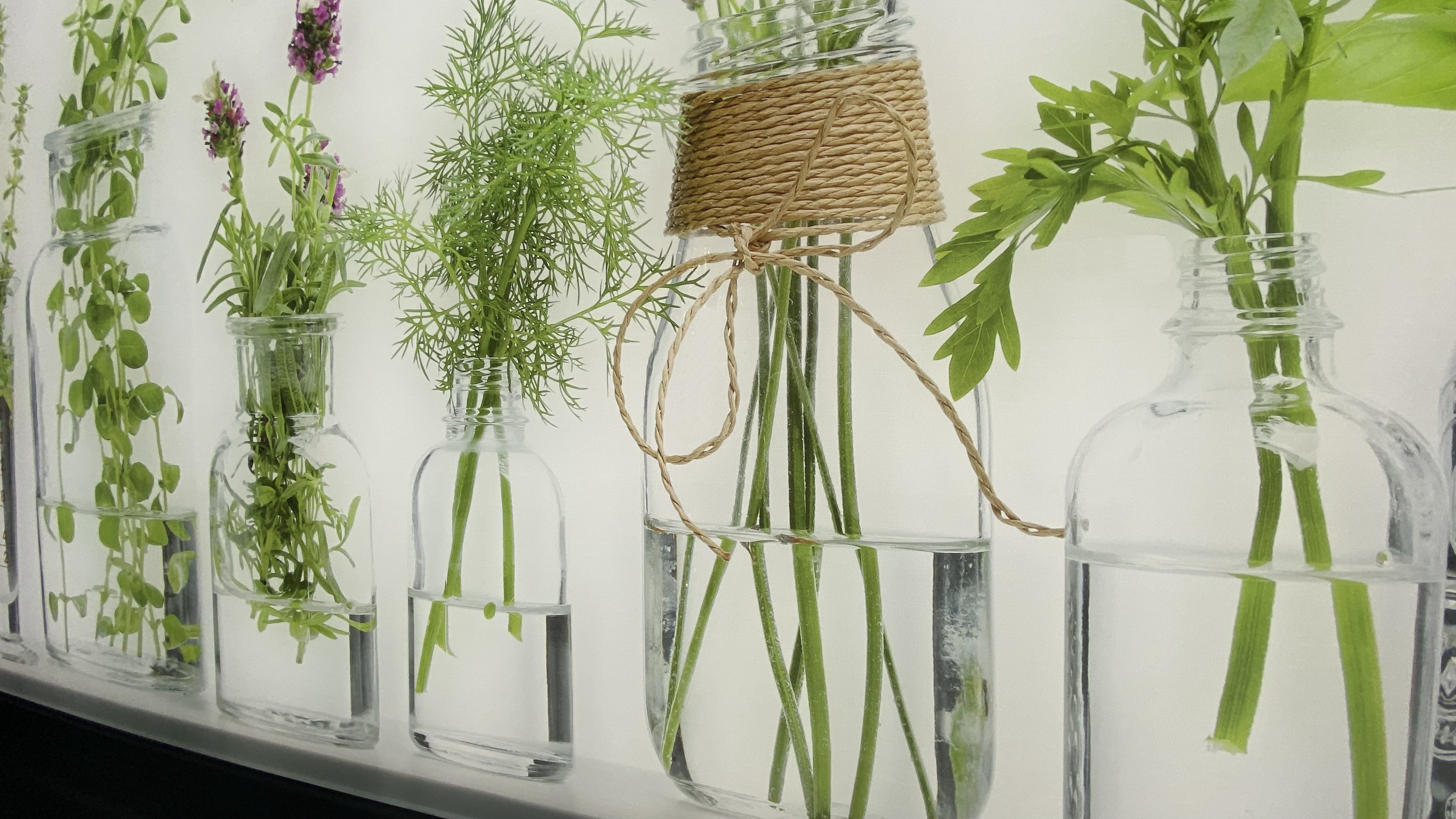 beleuchtete LED Küchenrückwand aus Glas mit Digitaldruck - Spritzschutz - Fliesenspiegel aus Glas von Glas Scholl