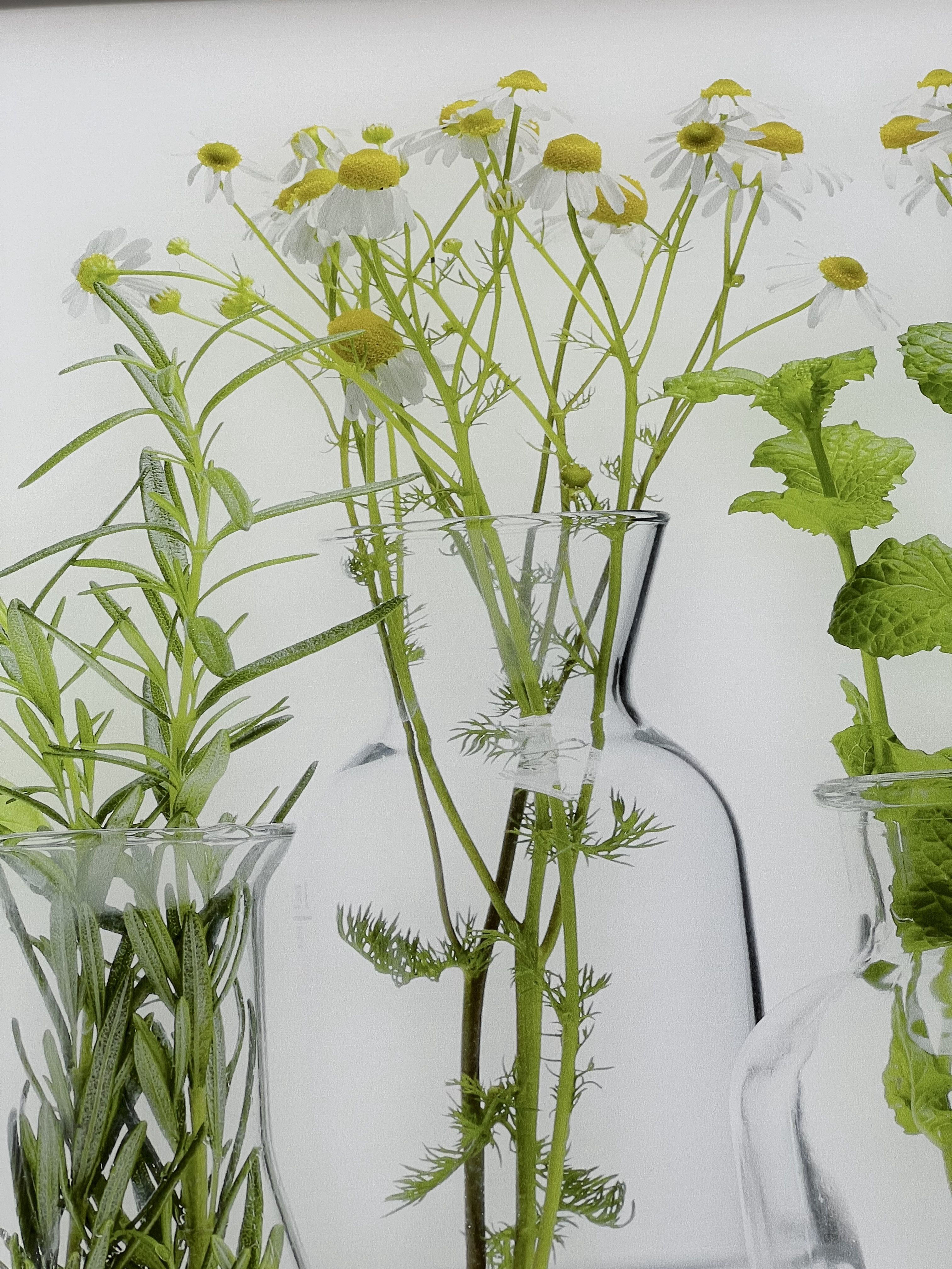 beleuchtete LED Küchenrückwand aus Glas mit Digitaldruck - Spritzschutz - Fliesenspiegel aus Glas von Glas Scholl