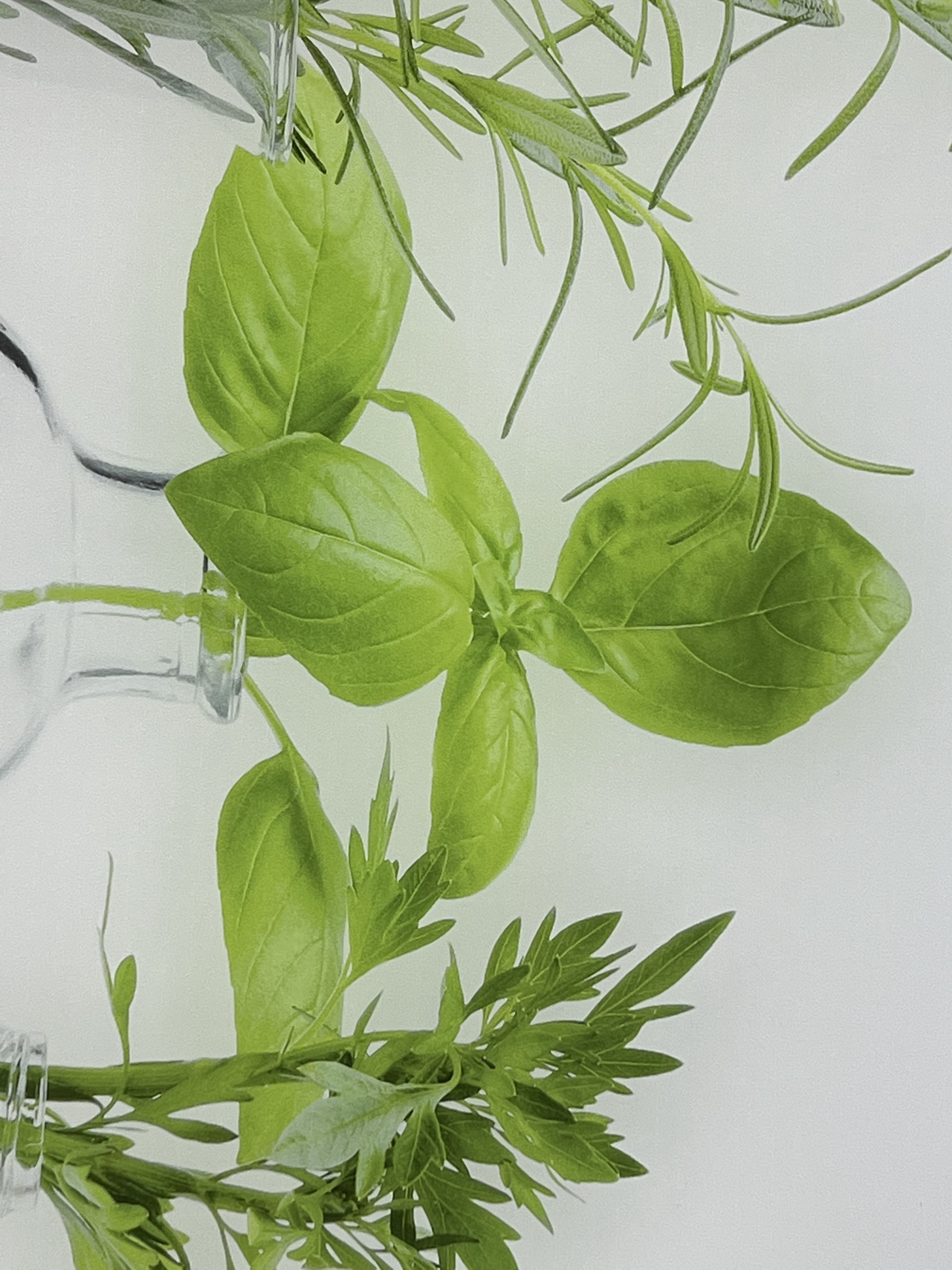 beleuchtete LED Küchenrückwand aus Glas mit Digitaldruck - Spritzschutz - Fliesenspiegel aus Glas von Glas Scholl