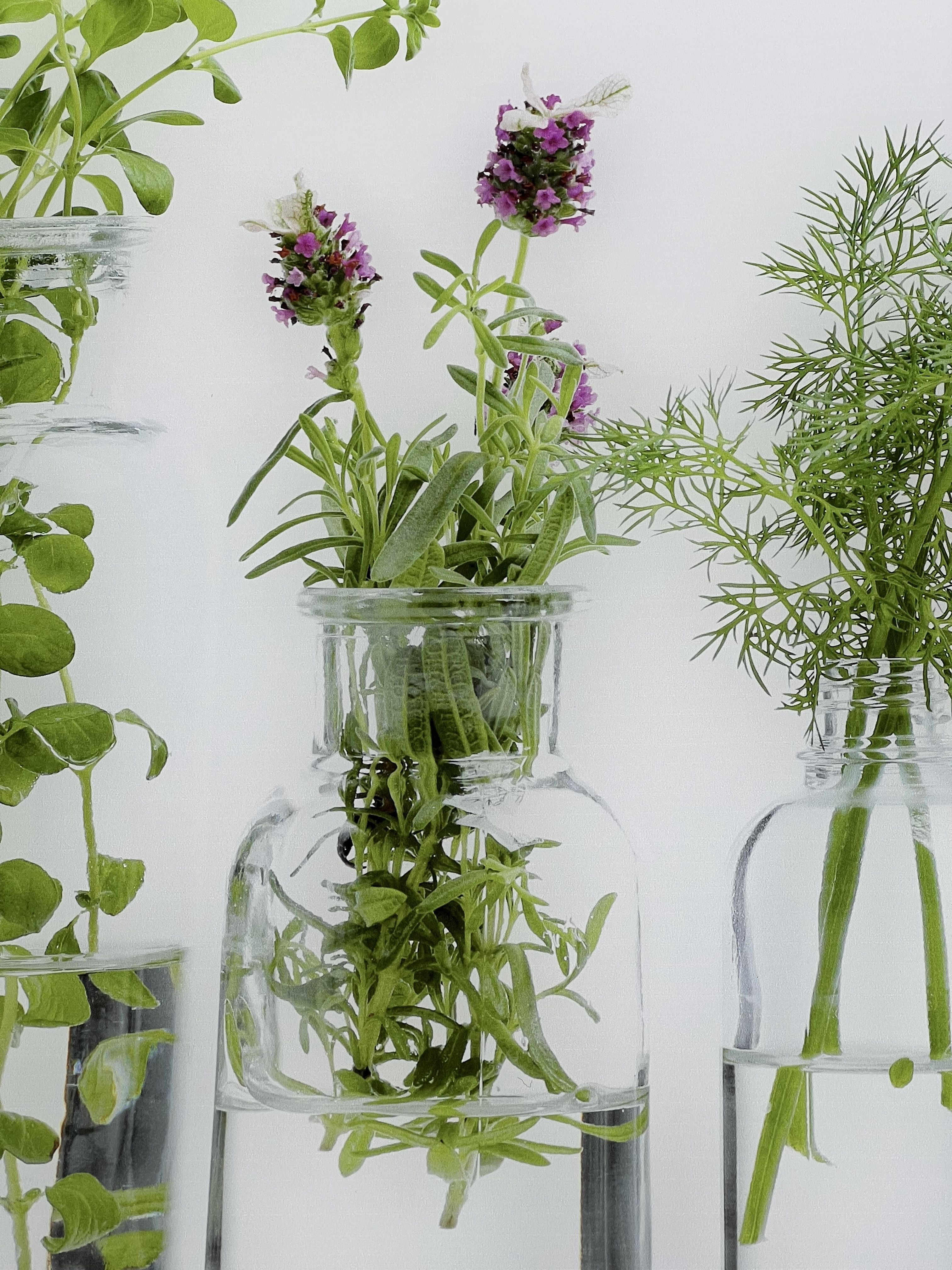 beleuchtete LED Küchenrückwand aus Glas mit Digitaldruck - Spritzschutz - Fliesenspiegel aus Glas von Glas Scholl